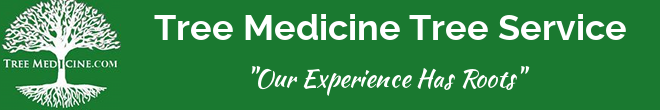 Tree Medicine Tree Service logo